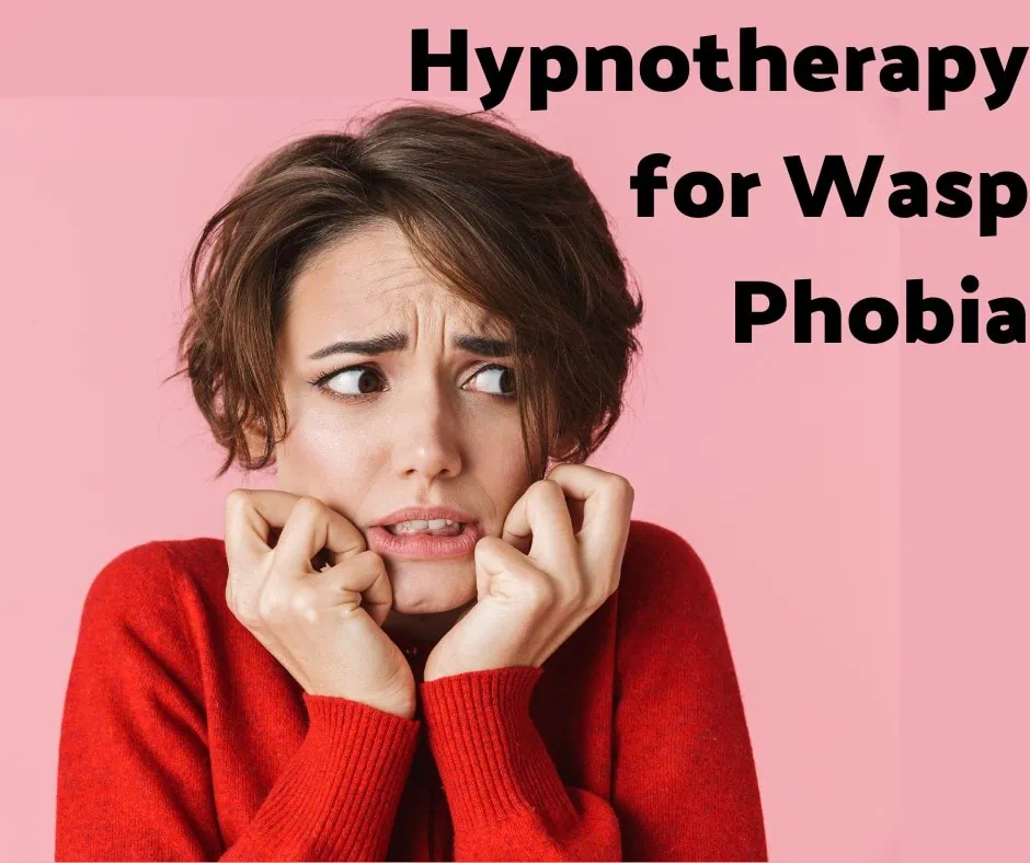 Hypnotherapy for Wasp Phobia